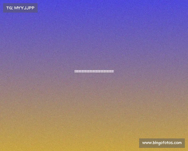 米亚托维奇:皇马重建需时间居莱尔未来可成为球队核心 米亚托维奇:皇马重建需时间居莱尔未来可成为球队核心