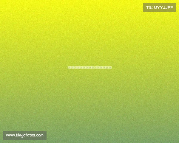 阿莱格里:亚沙里令人惊讶表现超出预期 几乎没有进行过球权训练 阿莱格里:亚沙里令人惊讶表现超出预期 几乎没有进行过球权训练