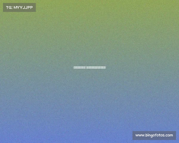 阿囧不打算卖佳夫 霍伊伦比签弗拉霍维奇更容易 阿囧不打算卖佳夫 霍伊伦比签弗拉霍维奇更容易