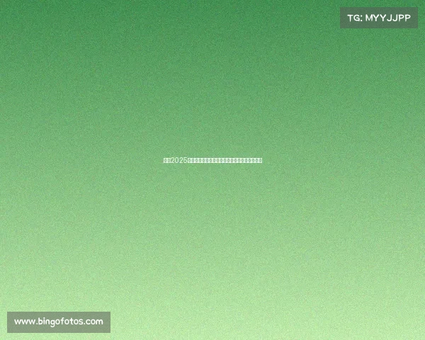 英超2025赛季球员心声:从赛场到生活的真实故事与挑战