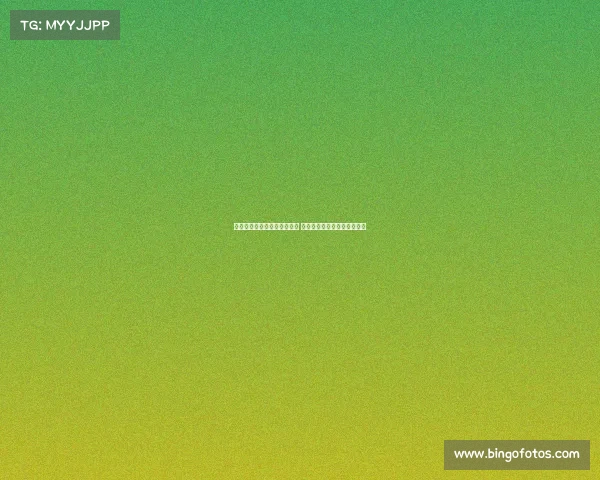 世体：新援对阵波尔图迎首秀 鲁杰里和巴埃纳有望首发登场