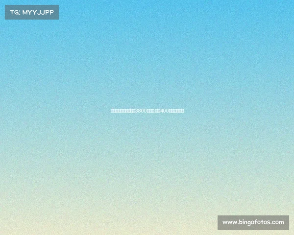 德天空曝佳夫转会费达3800万欧元 外加400万欧浮动奖金